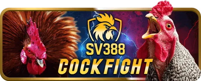 Giải đấu slot twin68 với giải thưởng lớn